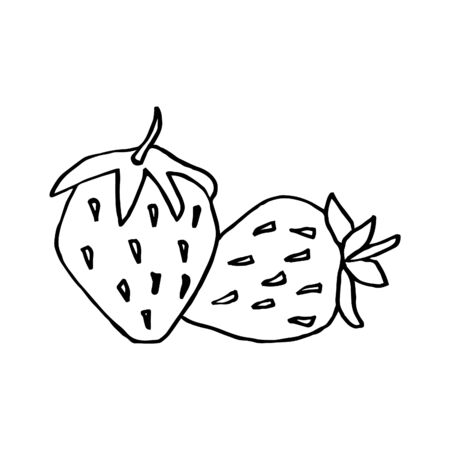 Isolated on white background strawberry, Stock Illustration, vector, hand drawing, design element for printing, scrapbooking, postcardのイラスト素材