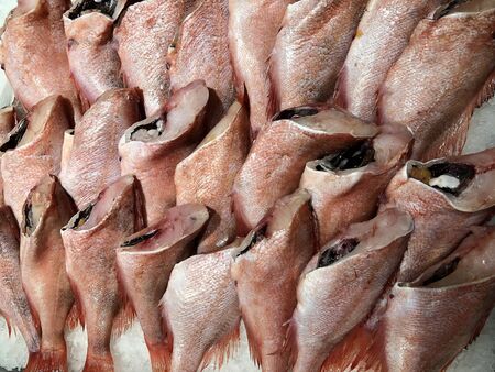 Photo lots of fresh fish on the counter supermarket