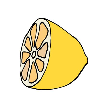 isolated on white background lemon drawing Stock illustration vector design element for printing, scrapbooking, postcardのイラスト素材