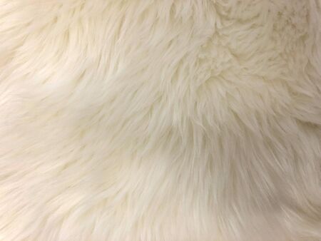 background, texture of carpet made of artificial fur. Used for floors