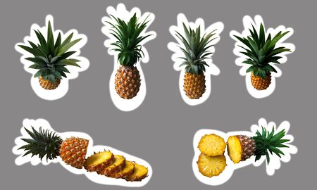 pineapple tropical fruit sticker setの写真素材