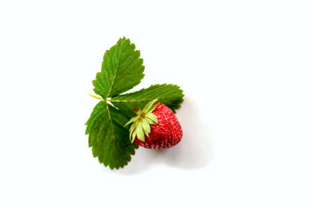 Isolated on white background Strawberry close-upの写真素材