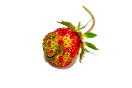 Isolated on white background Strawberry close-upの写真素材
