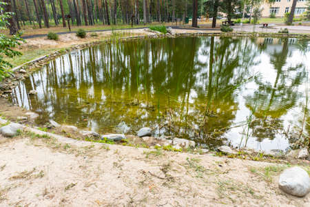 photo lake in the forest, beautiful, backgroundの写真素材