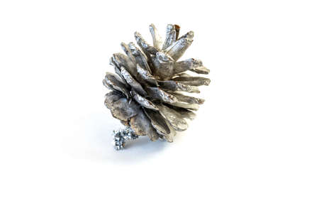 Christmas cones, isolate, design element for christmas