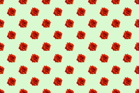 Beautiful seamless pattern with flowers roses
