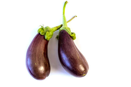 Isolated on white background Eggplant, agriculture and harvestの写真素材