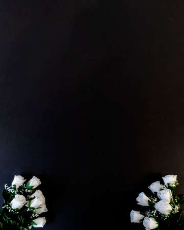 Flat Lay, postcard for death, funeral. White roses on a black background. copy spaceの写真素材