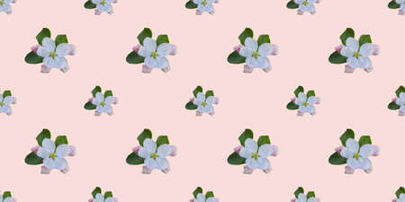 Seamless pattern with apple tree flowersの写真素材