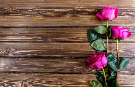 Flat Lay, Flower layout Pink roses on wooden backgroundの写真素材