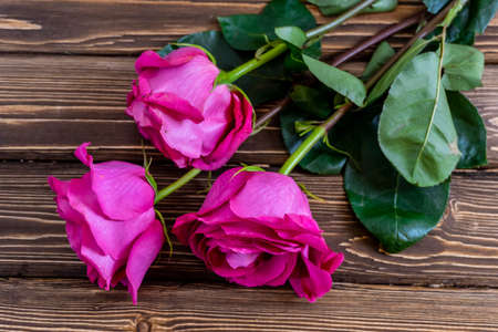 Flowers pink roses on wooden backgroundの写真素材