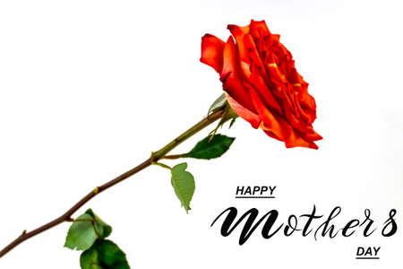 Happy mother's day! Flat Lay, Banner, Congratulations on Mother's Dayの写真素材