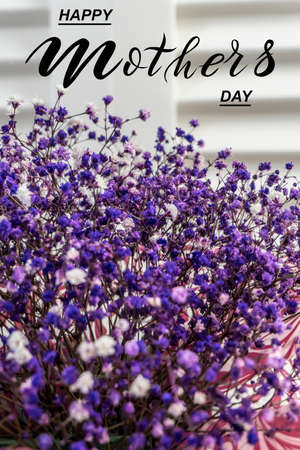 Happy mother's day! Flat Lay, Banner, Congratulations on Mother's Dayの写真素材
