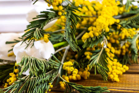 Spring flowers bouquet - Yellow Mimosa and White Tulipsの写真素材