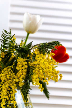 Spring flowers bouquet - Yellow Mimosa and White Tulipsの写真素材