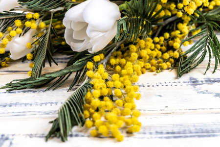 Spring flowers bouquet - Yellow Mimosa and White Tulipsの写真素材
