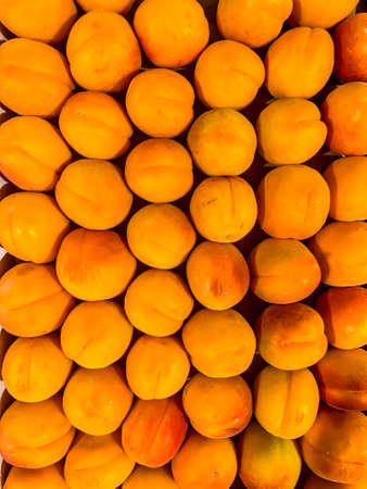 Stock Foto Apricots, tasty and healthy fruitの写真素材