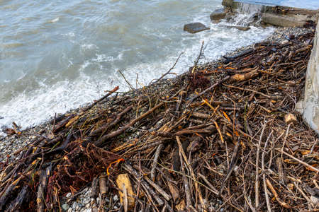 the black sea after the storm, brown water and debris on the shoreの写真素材
