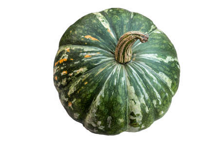 realistic pumpkin isolated on white background close up, halloween symbolの写真素材