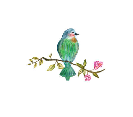 Isolated on white background Watercolor drawing birdsの写真素材