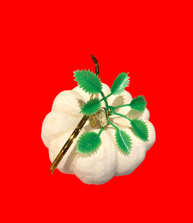 photo pumpkin on a white background, isolateの写真素材