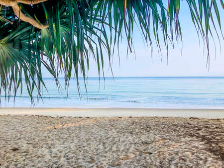 beach, palm trees and Andaman sea in Thailand on Phuket islandの写真素材
