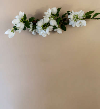 Flat lay with copy space  for the wedding, birthday, party or other celebration, Beautiful White...