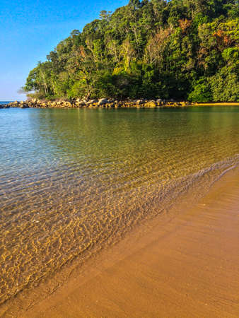 beach, palm trees and Andaman sea in Thailand on Phuket islandの写真素材
