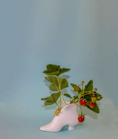 Flat lay with copy space  for the wedding, birthday, party or other celebration.の写真素材