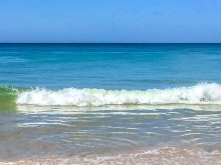 beach, palm trees and Andaman sea in Thailand on Phuket island