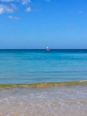 beach, palm trees and Andaman sea in Thailand on Phuket islandの写真素材