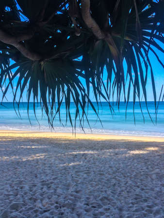 beach, palm trees and Andaman sea in Thailand on Phuket islandの写真素材