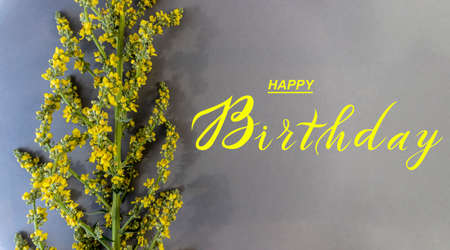 postcard, Internet banner, flat lay with a birthday greeting, with the inscription - happy birthdayの写真素材