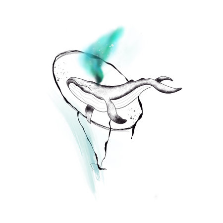 hand drawing whale, drawing for tattooの写真素材