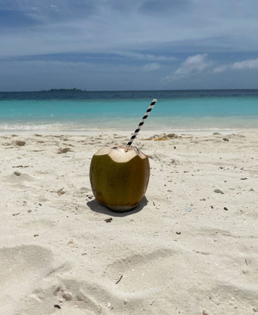 Maldives, ocean, sea, beach, palm trees