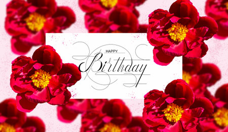 Birthday card with flowers for a woman or a girlの写真素材