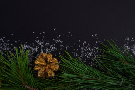 beautiful black christmas background for postcards, flyers, banners. Christmas tree branch and...