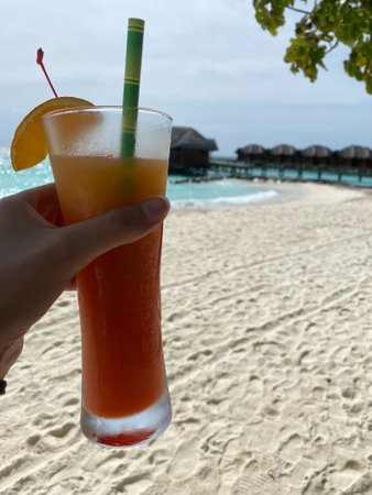 Maldives, ocean, sea, beach, palm treesの写真素材