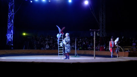 Naberezhnye Chelny, Russia - November 13,2022: Big top circus arena. parrotsのeditorial素材