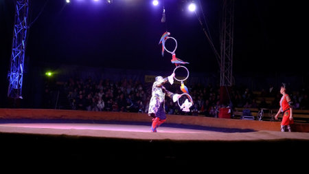 Naberezhnye Chelny, Russia - November 13,2022: Big top circus arena. parrotsのeditorial素材