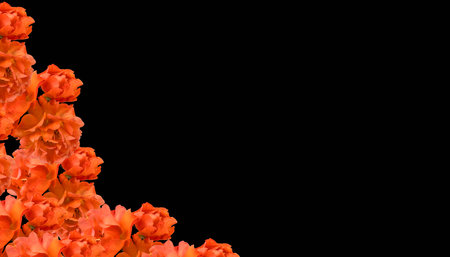 Postcard or invitation to a funeral, death. With flowers on a black backgroundの写真素材