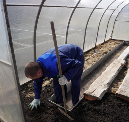 A man works in a vegetable garden in early spring. Digs the ground. working in a greenhouseの写真素材