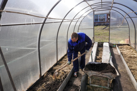 A man works in a vegetable garden in early spring. Digs the ground. working in a greenhouseの写真素材