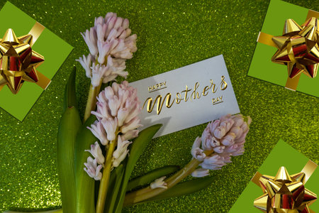 Card, banner, congratulations on Mothers Day, flowers hyacinthsの写真素材