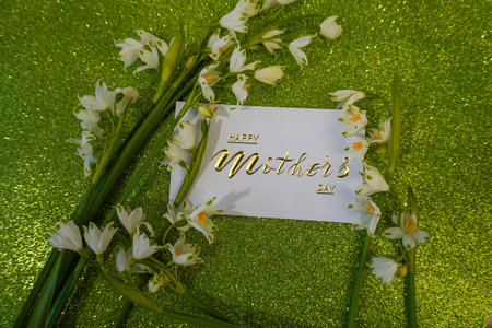 Card, banner, congratulations on Mothers Day, snowdrop flowers
