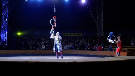 Naberezhnye Chelny, Russia - November 13,2022: Big top circus arena. parrotsのeditorial素材