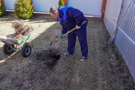 A man works in a vegetable garden in early spring. Plants a tree. Digs the ground.の写真素材