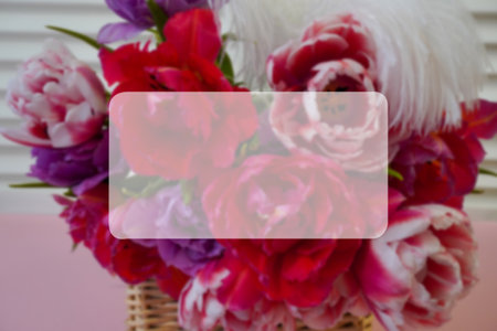 Postcard, flyer for women's holiday, like Mother's Day, International Women's Day on March 8,...