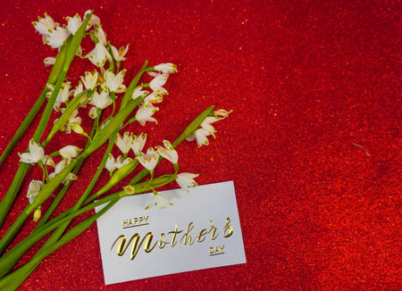 Card, banner, congratulations on Mothers Day, snowdrop flowers