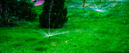 Summer in the garden. Automatic watering watering green lawnの写真素材